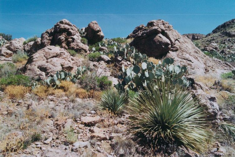 Rockhound State Park